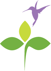 Environmental Efforts